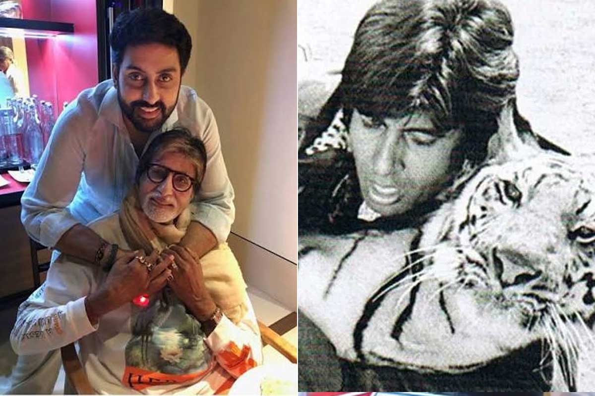 বাঘের সঙ্গে লড়াই অমিতাভের! অভিষেকের জন্মের পরই কেন এমন ‘চ্যালেঞ্জ’ নেন বিগ বি?