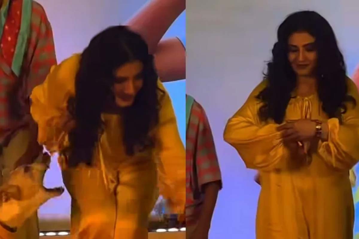 Raveena Tandon faces a playful dog attack at the 'Oh My Dog' screening