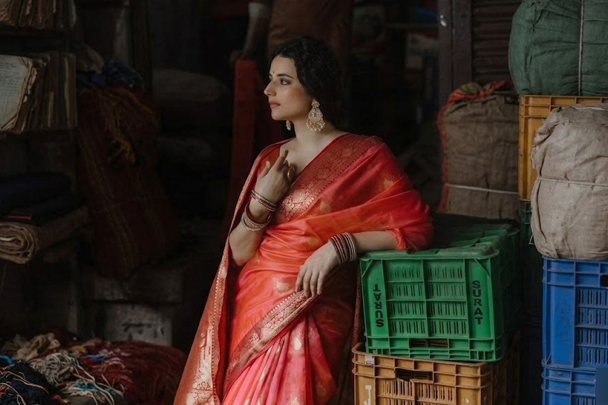বেনারসি থেকে পাটোলা, শাড়িপ্রেমী হলে আমলারিতে এই ৫ জিআই-ট্যাগ পাওয়া কাপড় থাকবেই!