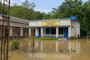 স্কুল চত্বরে ঘুরে বেড়াচ্ছে হাঁস, একমাস ধরে ঝাড়গ্রামের জলবন্দি স্কুলেই চলছে পঠনপাঠন
