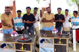 কেক কেটে, গান গেয়ে গোখরোর জন্মদিন পালন! নাগপঞ্চমীতে ভাইরাল বিষধরের বিস্ময়কর ভিডিও