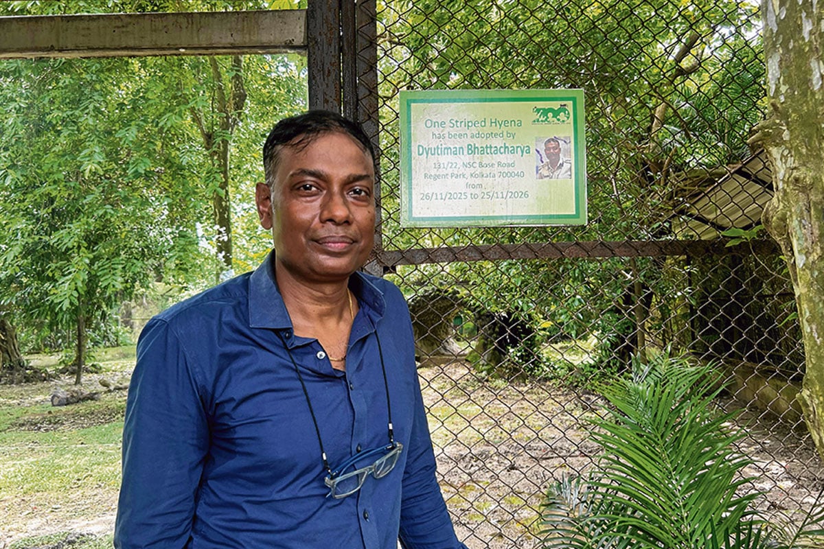 ঠিকমতো খাবার পাচ্ছে না দত্তক-প্রাণীরা! খাদ্যে নজরদারির অধিকার অভিভাবকদের