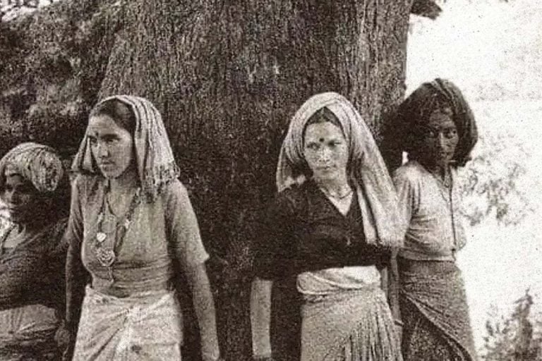 ভারতের নারী প্রমাণ করেছে পরিবেশরক্ষা সরকারি প্রকল্পের বিষয় মাত্র নয়