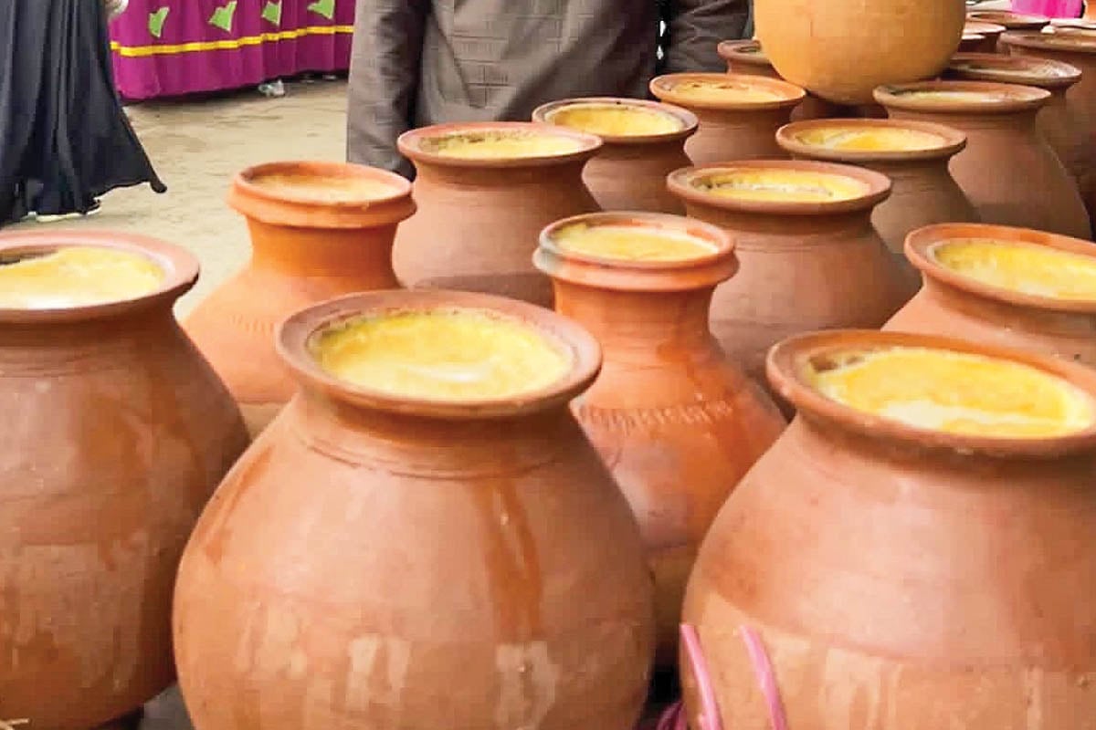 জিআই ট্যাগ পাচ্ছে নয়া বাজারের ক্ষীর দই, উচ্ছ্বাস দক্ষিণ দিনাজপুরে