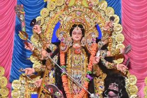 দেবীর ভোগে ইলিশ-চিংড়ি, অসুরের ভাগে সুরা, বাংলার এই দুর্গাপুজোয় আজও অটুট রীতি