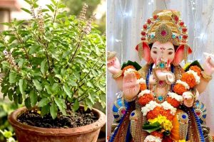 গণেশ পুজোয় তুলসী অর্পণ করলে রুষ্ট হন দেবতা! নেপথ্যে কোন পুরাণ কাহিনি?