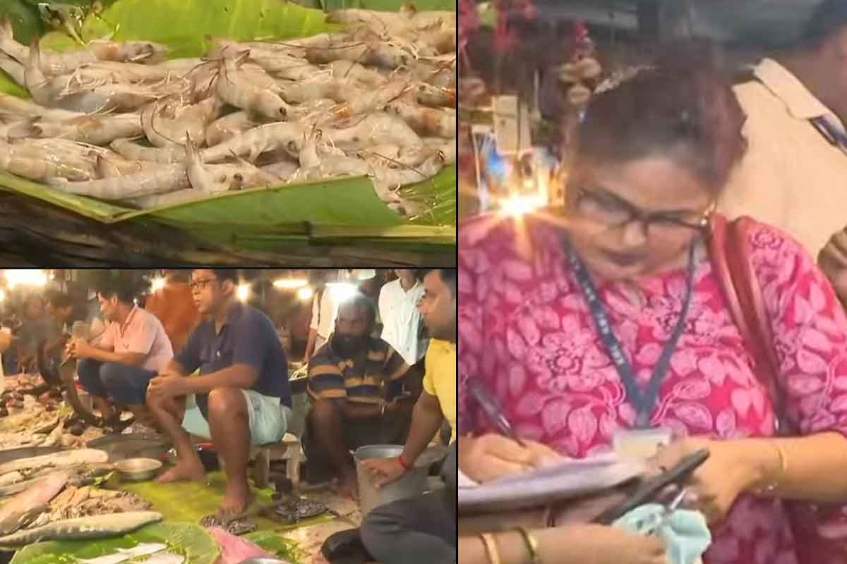 কেজি কেজি চিকেন-মটন ফেলা হল ভ্যাটে! গড়িয়াহাট বাজার থেকে সব মাছের নমুনা সংগ্রহ পুরসভার