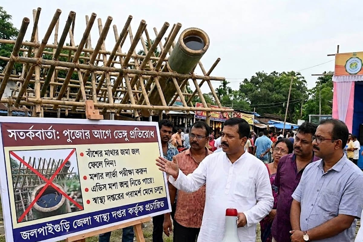 প্যান্ডেলের বাঁশেও ডেঙ্গুর লার্ভা! পুজো কমিটিগুলিকে ‘সাবধান’ করল জেলা স্বাস্থ্য দপ্তর