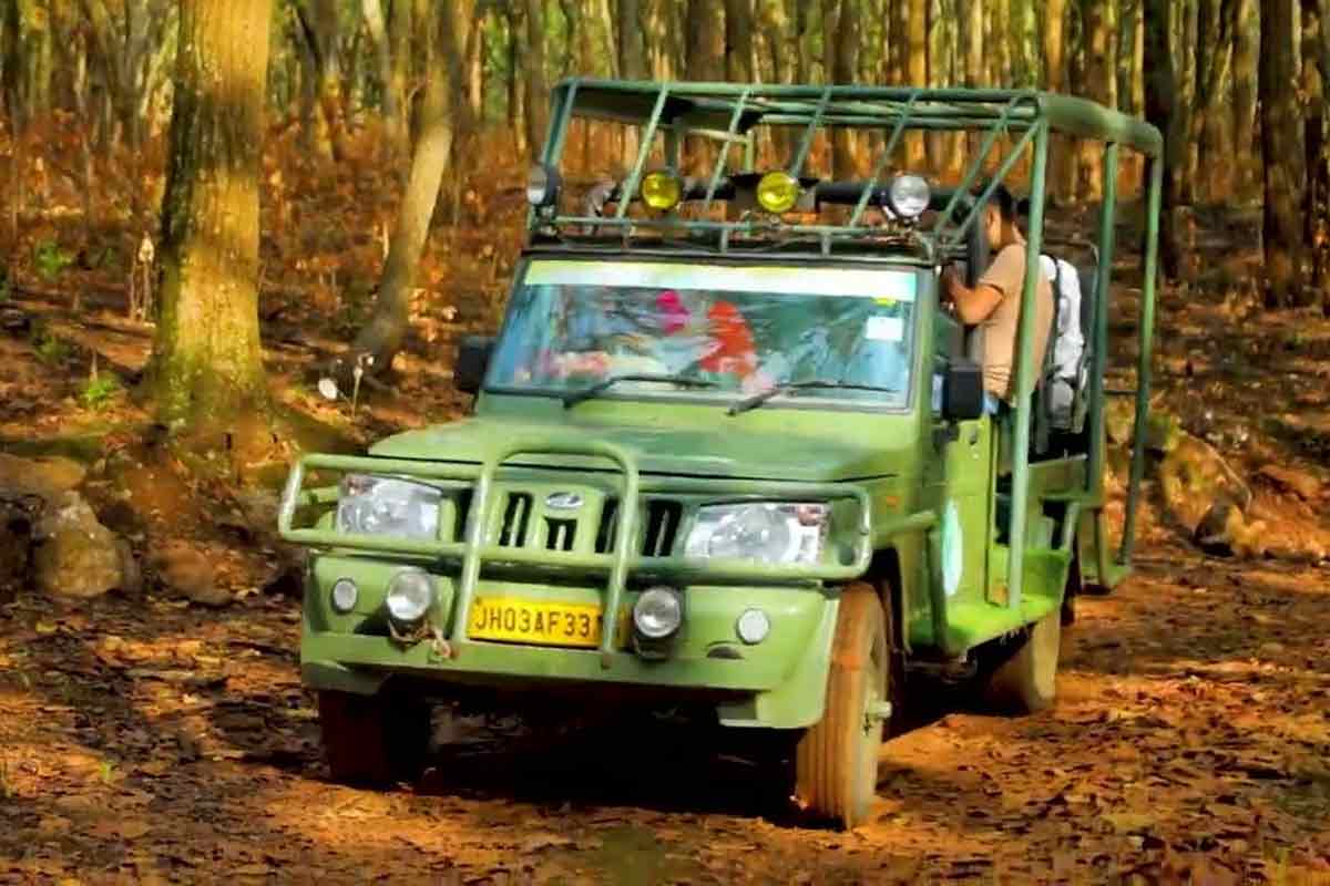 ঝাড়গ্রামেও এবার টাইগার সাফারি! বদলের বাংলায় পর্যটনে জোয়ার