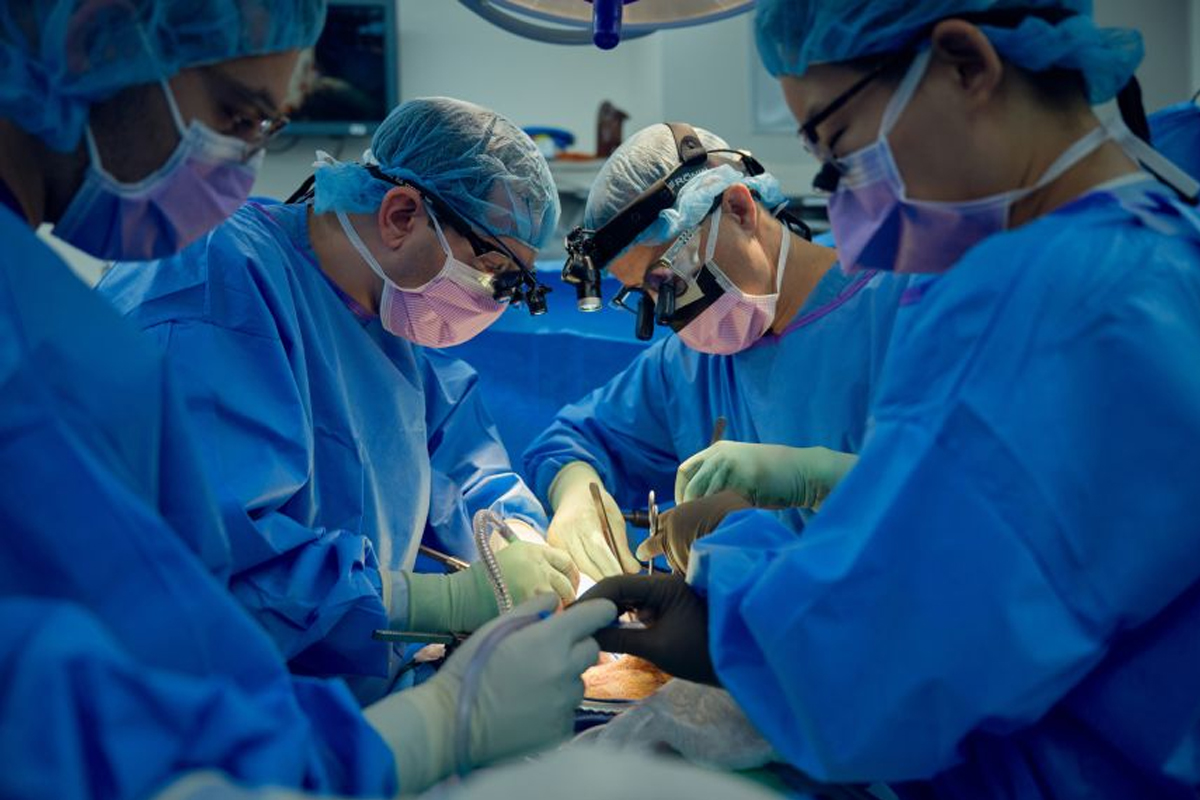 pig kidney 9 months human kidney transplant