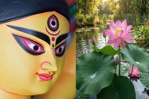 খড়-মাটির পর চরমে পদ্ম সংকট! পুজোর উপাচারের জোগাড়ে চিন্তায় আয়োজকরা