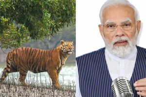 ‘সুন্দরবন গড়ে তুলছেন মহিলারাই’, প্রধানমন্ত্রীর মুখে ঝড়খালির ‘বাঘ বিধবা’দের প্রশংসা