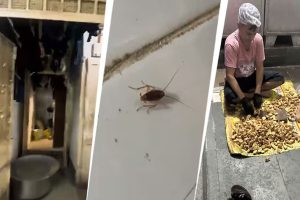 মজুত খাবারের পাশেই টয়লেট, ফ্রিজে আরশোলা-মাছি-রক্ত! মুম্বইয়ের প্রসিদ্ধ রেস্তরাঁর ভয়াবহ হাল