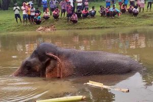 কখনও জলে ডুবে, কখনও ঠায় শুয়ে, আচমকা কী হল ‘রামলালে’র?