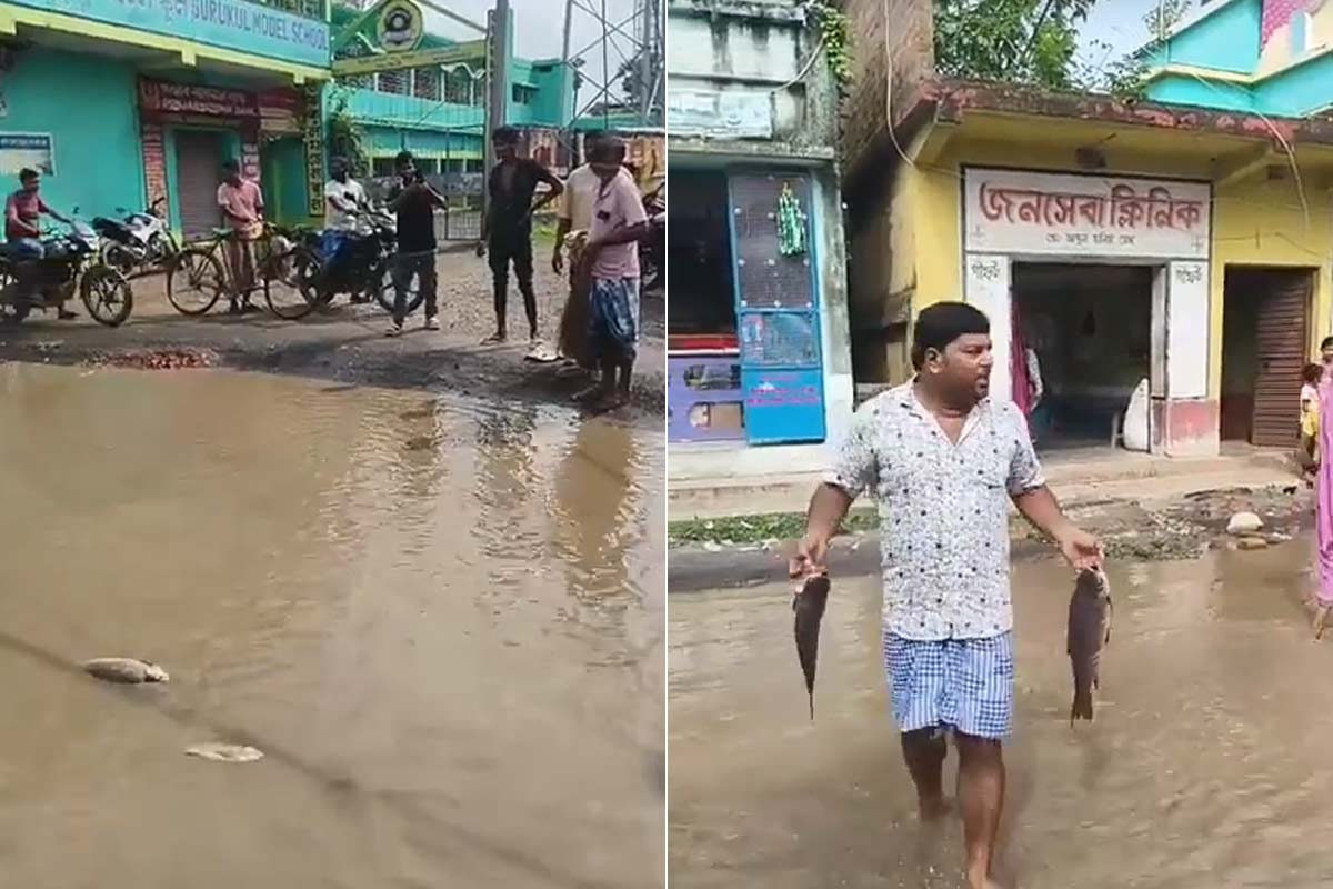 রাস্তা নাকি দিঘি বোঝা দায়! সুতির রাজ্য সড়কে জাল ফেলে মাছ ধরলেন গ্রামবাসী