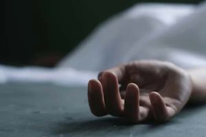 ডাক্তারের দেখিয়ে ফেরার পথে সব শেষ, পিকআপ ভ্যানের ধাক্কায় স্বামীর সামনেই মৃত্যু অন্তঃসত্ত্বার