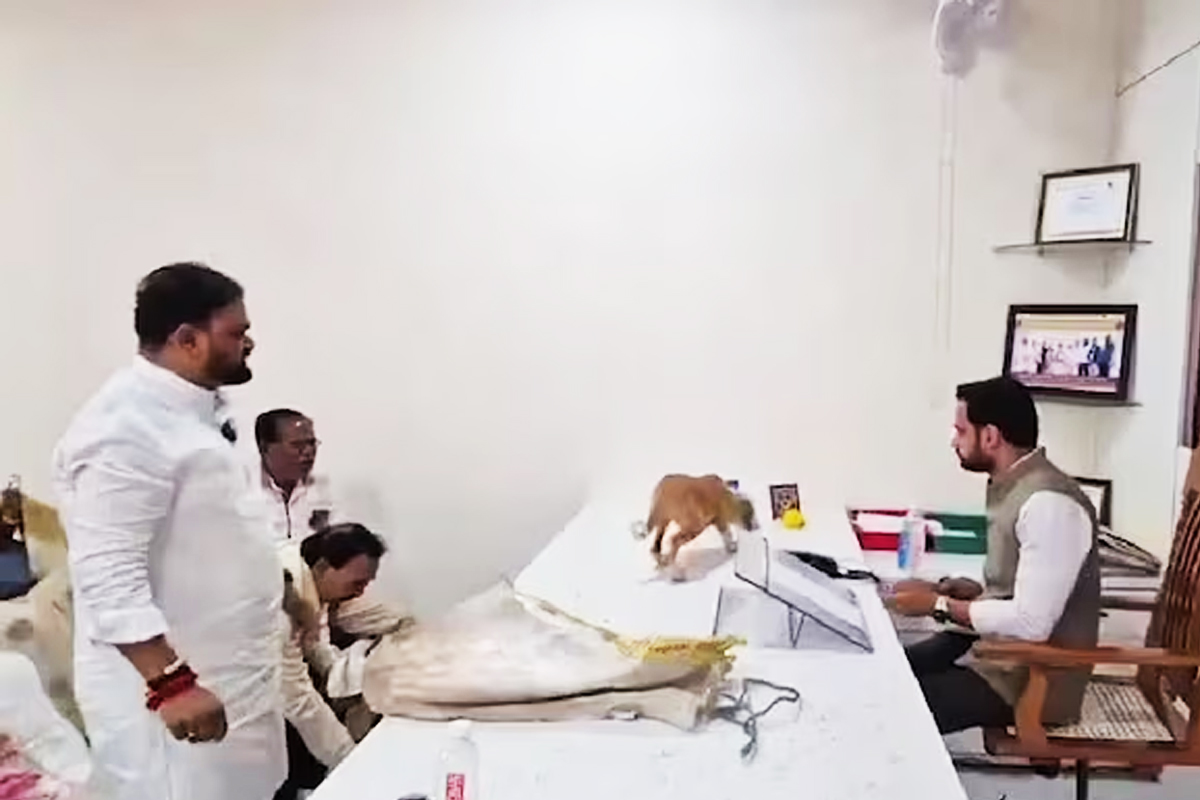 সারমেয়র উপদ্রবে অতিষ্ঠ! সরকারি আধিকারিকের টেবিলে কুকুরছানা ছেড়ে ‘উচিত শিক্ষা’ যুব সেনা নেতার