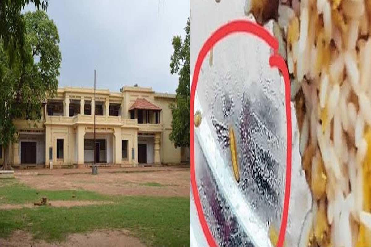 কেন্নো, আরশোলার পর পাঠভবনের খাবারে ফের পোকা! তদন্তের আশ্বাস বিশ্বভারতীর
