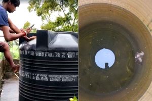 স্কুলের ট্যাঙ্কে মরা পাখি, দুর্গন্ধে ভরা জলেই শিশুদের মিড ডে মিল, ক্যানিংয়ে এ কী কাণ্ড!