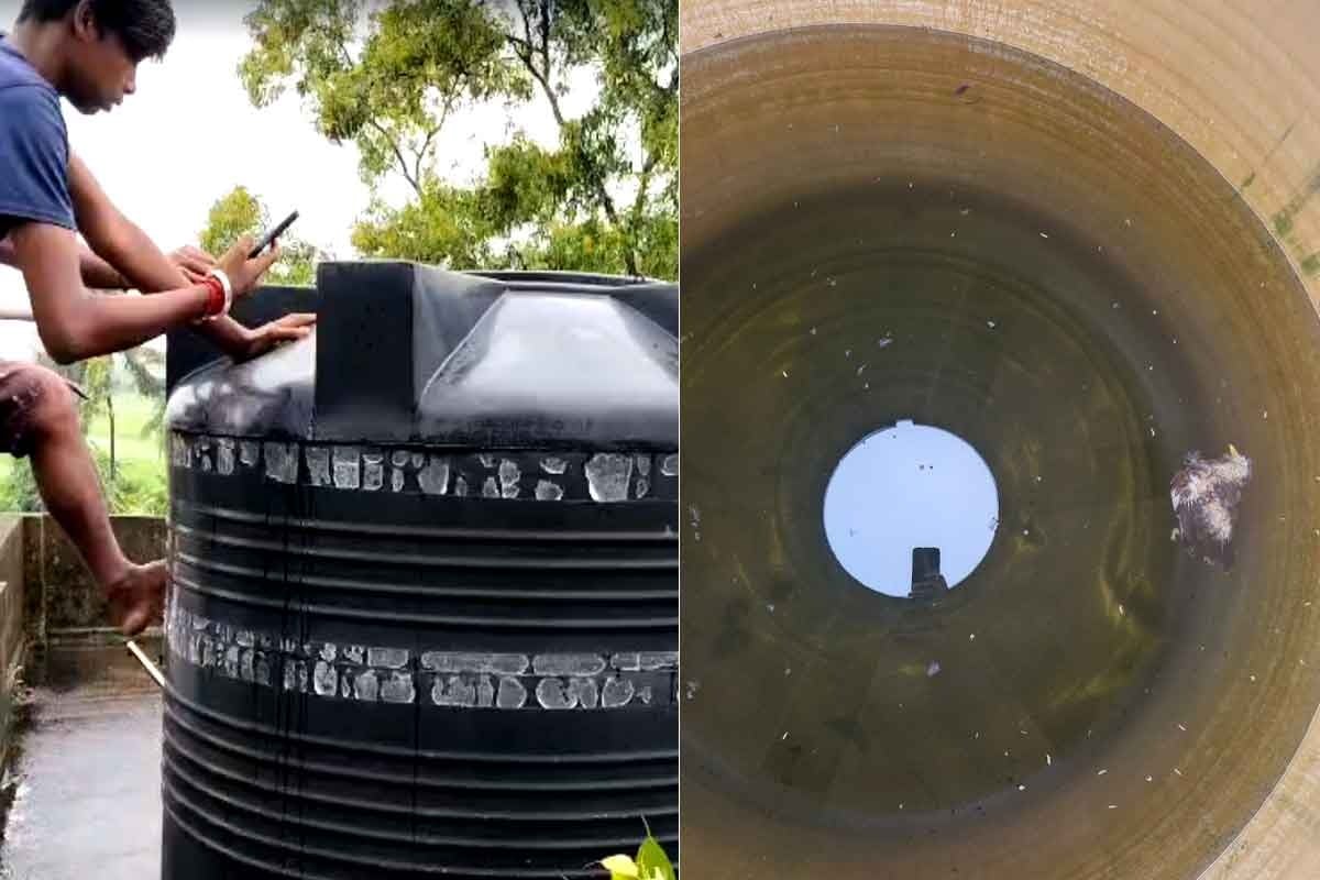 স্কুলের ট্যাঙ্কে মরা পাখি, দুর্গন্ধে ভরা জলেই শিশুদের মিড ডে মিল, ক্যানিংয়ে এ কী কাণ্ড!