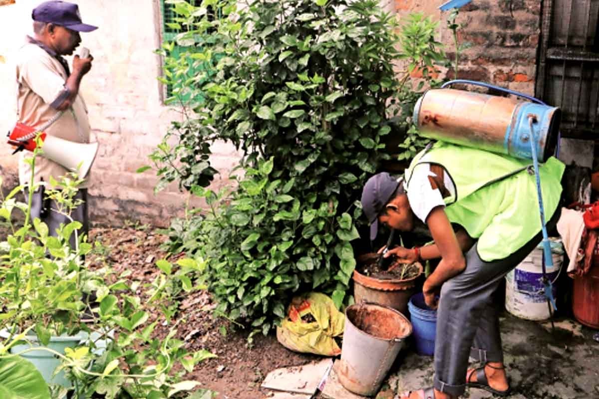 ডেঙ্গু রুখতে রাজ্যে ৩ দিনের মেগা স্বচ্ছতা অভিযান, জমিতে ঝোপঝাড় থাকলেও হতে পারে জরিমানা