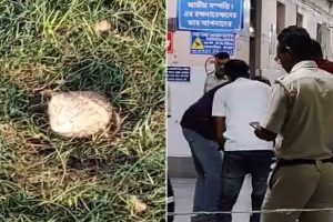 জুয়ার ঠেকে হানা দিতেই টার্গেট পুলিশ! সালারে দুষ্কৃতীদের ছোড়া বোমায় আক্রান্ত এএসআই