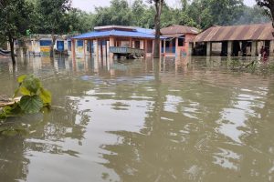 উথাল-পাথাল গঙ্গা, ভাসল ভূতনি দ্বীপের অন্তত ১৯টি গ্রাম, জলবন্দি প্রায় ২ লক্ষ মানুষ