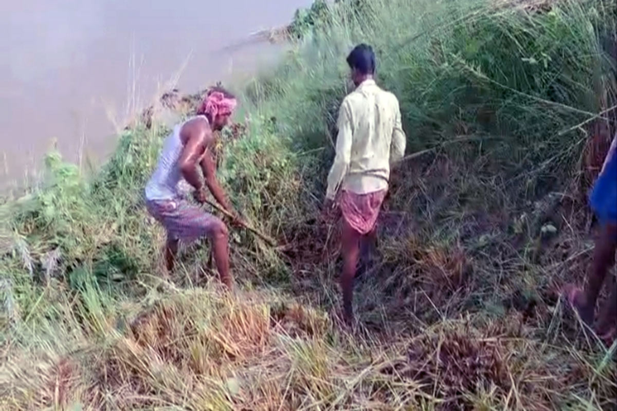 শিয়ালের কারণে দামোদরের বাঁধ জুড়ে গর্ত! বিপদের আশঙ্কায় বর্ধমানের একাধিক গ্রাম