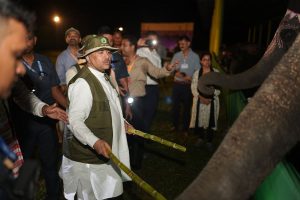 চৈতন্য ও সুলক্ষণা, ২ হস্তিশাবকের নামকরণ করলেন মুখ্যমন্ত্রী, কেন এই নাম? জানালেন নিজেই