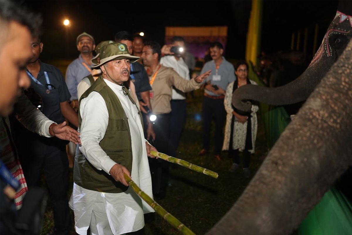 চৈতন্য ও সুলক্ষণা, ২ হস্তিশাবকের নামকরণ করলেন মুখ্যমন্ত্রী, কেন এই নাম? জানালেন নিজেই