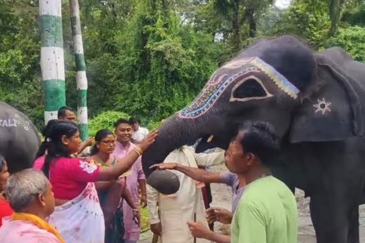 রং-বেরঙের খড়িমাটিতে সাজেন গজরাজরা, বিশ্বকর্মা পুজোয় ডুয়ার্সে পূজিত হন দেবশিল্পীর বাহন