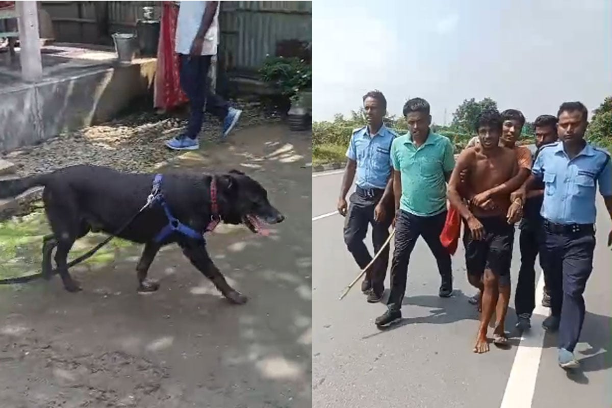 পালিয়েও শেষরক্ষা হল না, ঝোপের পিছনে লুকানো রোহিঙ্গাকে ধরিয়ে দিল অরল্যান্ডো!