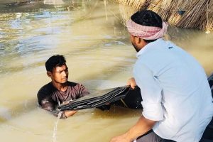 চারদিকে গঙ্গার স্রোত, ভূতনিতে বাড়ির ছাদে আশ্রয় বন্যা দুর্গতদের, ত্রাণ নিয়ে ঘুরছেন আধিকারিকরা