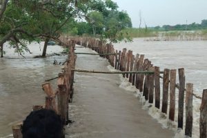 বিপদসীমার উপরে গঙ্গা, ভূতনিতে জল ঢুকেছে থানা-স্বাস্থ্যকেন্দ্রেও! তলিয়ে মৃত্যু কৃষকের