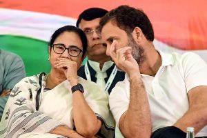 ‘দল চুরি’, জোড়াফুল ‘হারানো’ মমতাকে ফোন, পাশে দাঁড়িয়ে কমিশনকে তোপ রাহুলের