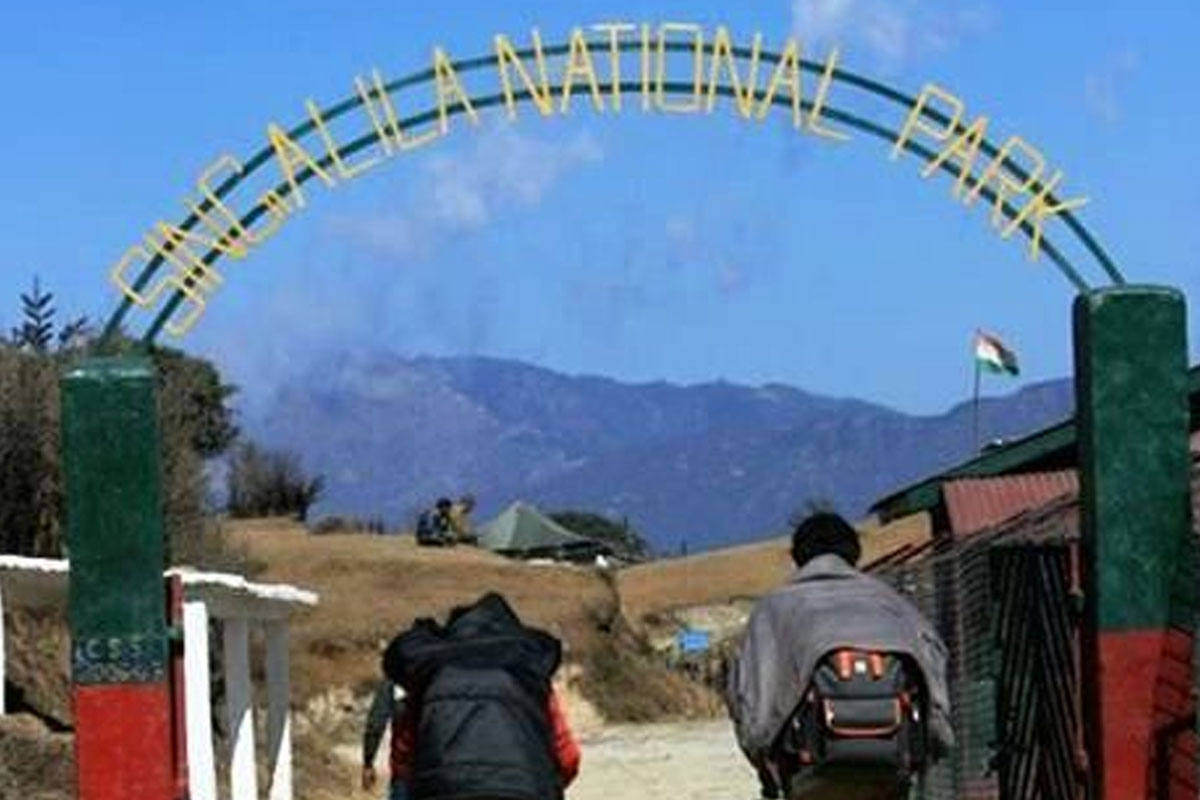 Durga Puja 2026: Planning a trip to Sandakphu and Phalut during Puja, Entry fees are back
