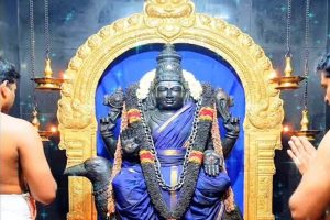 অভাব অনটন, বিবাহে বাধা? ‘পুরট্টাসি সানি’ পুজোয় দূর হবে বিঘ্ন, জানাচ্ছে শাস্ত্র