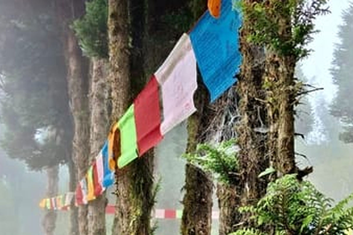 river is chief guest! Will you be joining this vibrant event in Sikkim
