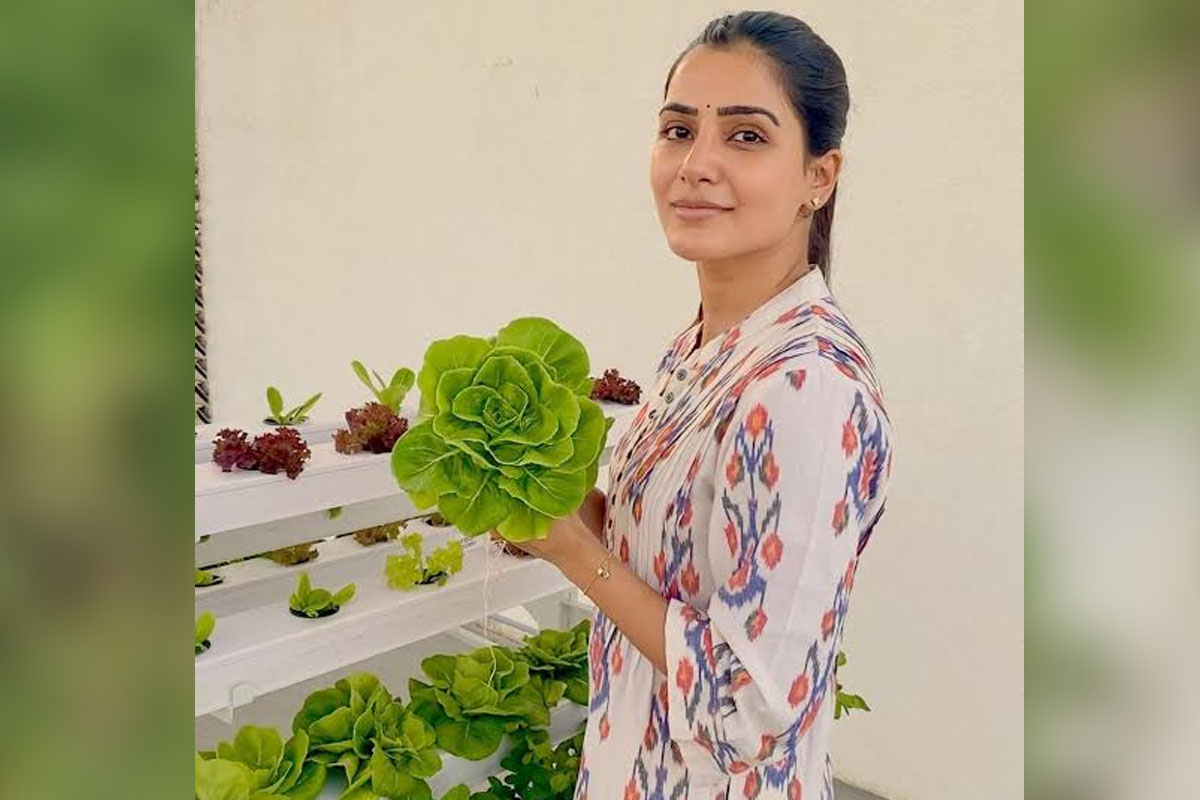 Samantha Ruth Prabhu’s Simple 3 step Guide to Sowing Seeds at Home