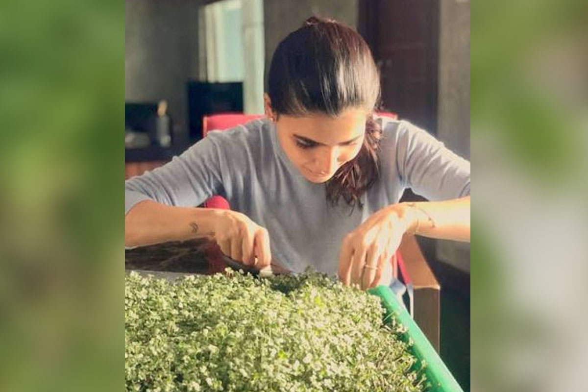 Samantha Ruth Prabhu’s Simple 3 step Guide to Sowing Seeds at Home
