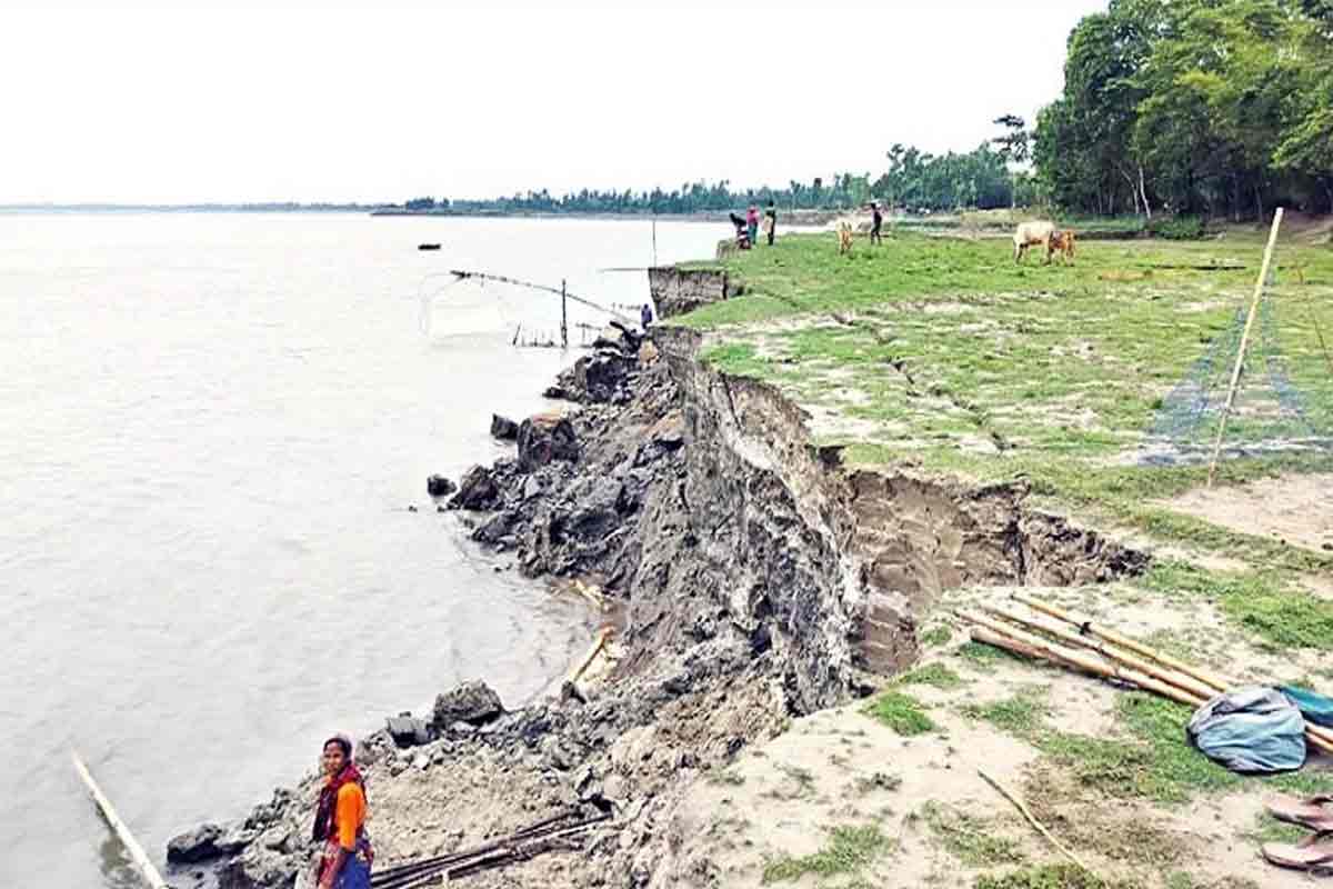 মুর্শিদাবাদের ছায়া উত্তরেও! ভয়াল ভাঙন তিস্তায়, আতঙ্কে কাঁচা ফসল ঘরে তুলছেন কৃষকরা