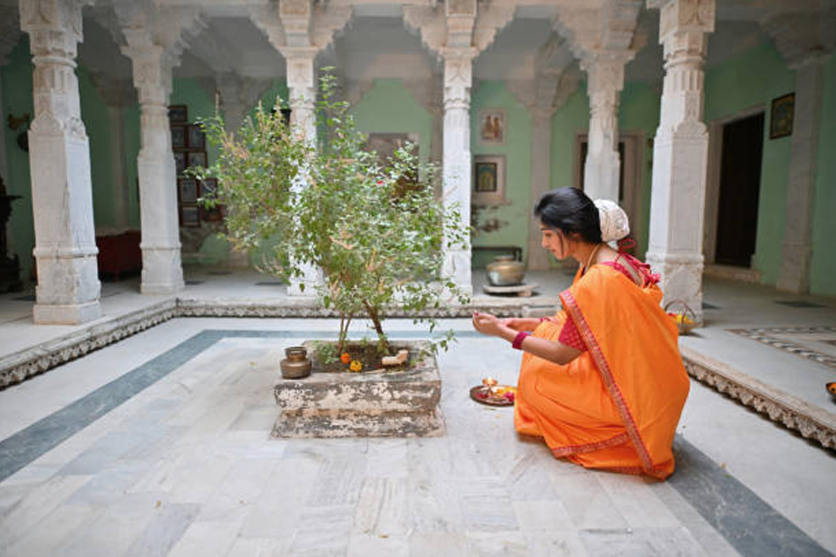 Ganesh Chaturthi 2026: Why Is Tulsi Not Offered To Lord Ganesha?
