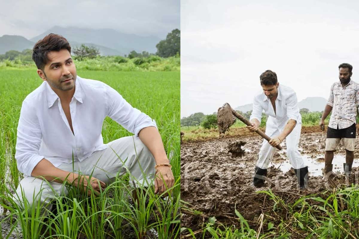 টানা ফ্লপের পর খেতে চাষবাদে ব্যস্ত বরুণ ধাওয়ান, ‘তবুও সাদা জামায় কাদা নেই?’, খোঁচা নেটপাড়ার