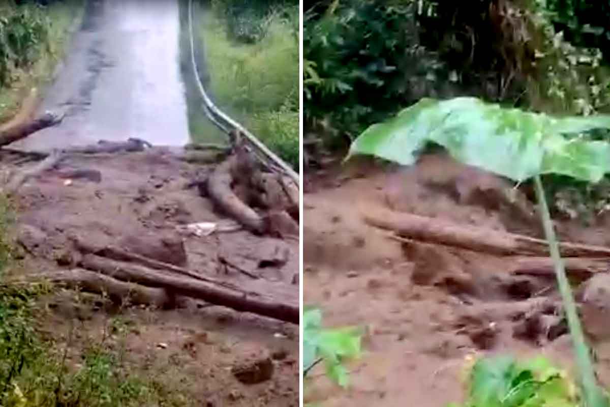 ভারী বৃষ্টিতে ব্যাপক ভূমিধস সিকিমে! একাধিক জায়গায় জারি লাল সতর্কতা, শঙ্কায় পর্যটকরা