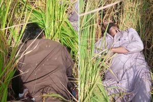 ফের পাক ষড়যন্ত্র! পাঞ্জাব সীমান্তে অনুপ্রবেশের চেষ্টা, বিএসএফের গুলিতে নিহত ২ ‘পাকিস্তানি’