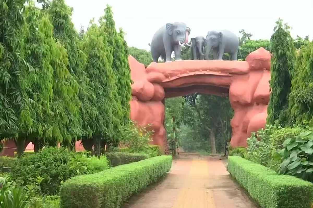 Chandaka-Dampara-Wildlife-Sanctuary