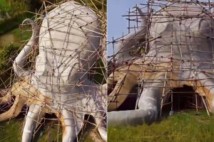 অক্টোপাসের পেটের ভিতরে ঢুকে দুর্গাদর্শন! কুলতলির গ্রামের পুজোয় থাকছে দুরন্ত আলোকসজ্জাও