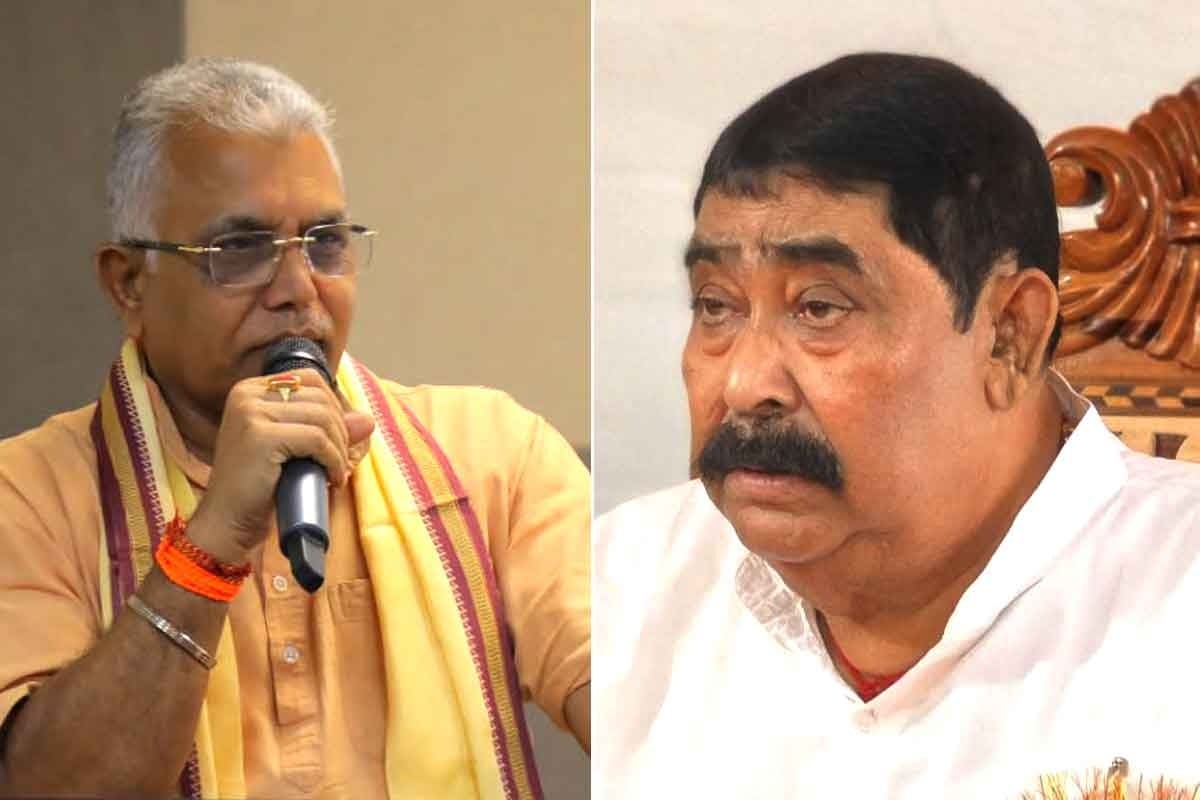 বাঘ থেকে বিড়াল ‘কেষ্ট’, ‘যেমন করেছে, তেমন ফল পাবে’, কটাক্ষ দিলীপের