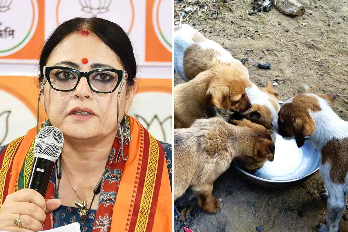 যেখানে-সেখানে নয়, পথকুকুরদের খাওয়াতে নির্দিষ্ট ‘স্পট’ চিহ্নিত পুরসভার, বড় উদ্যোগ অগ্নিমিত্রার